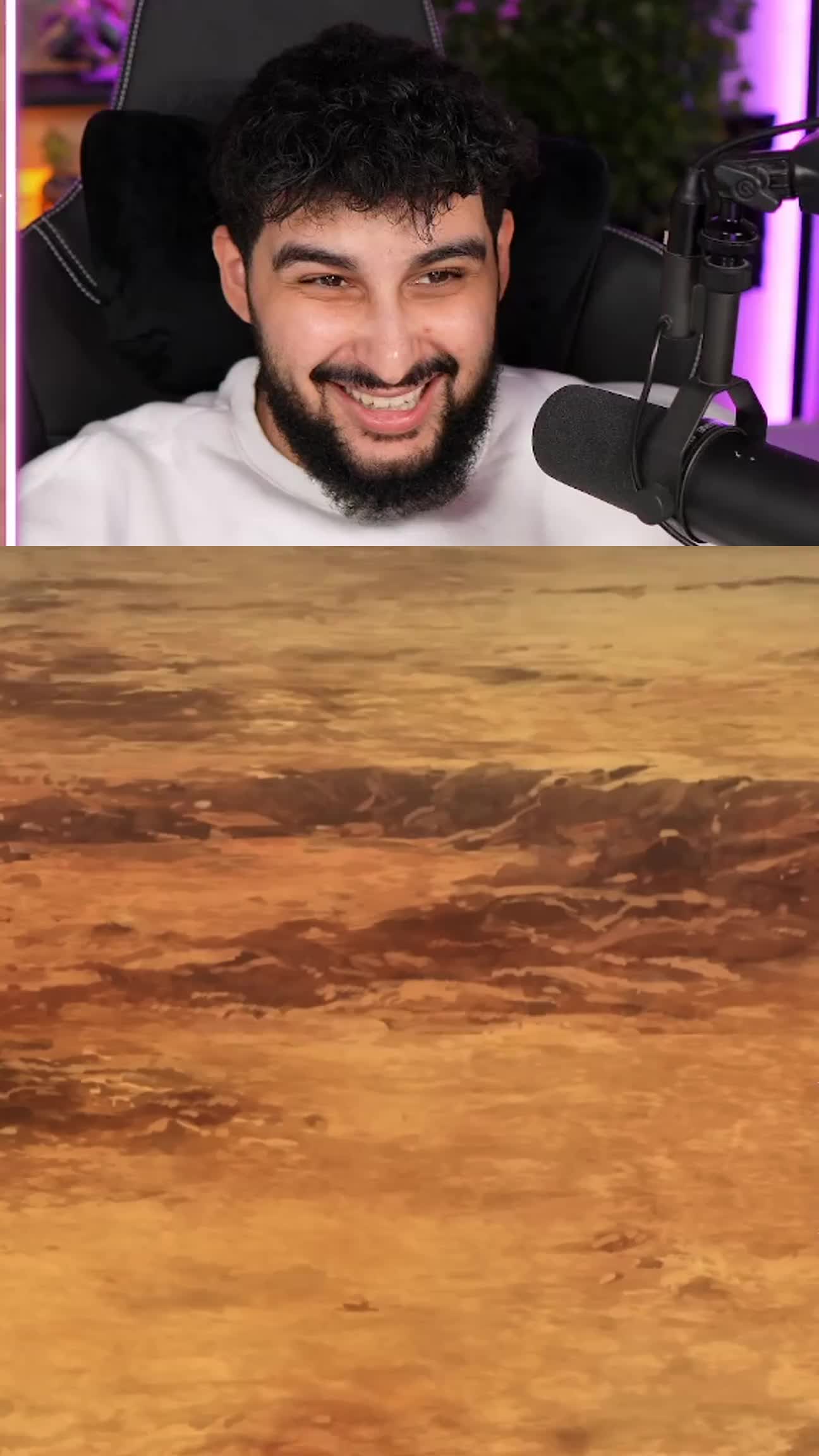 Miniature de la vidéo